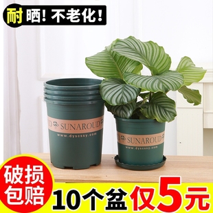 花大爷高款树脂塑料花盆加厚设计控根透气耐用加仑盆带托盘阳台