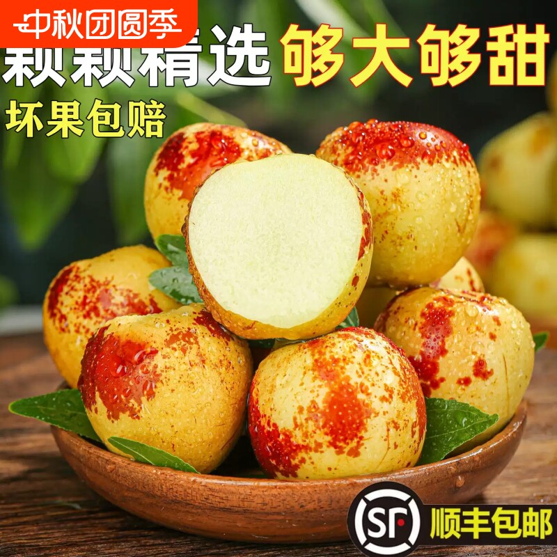 正宗冬枣新鲜大枣当季现摘现发脆甜鲜果青枣整箱产地直发