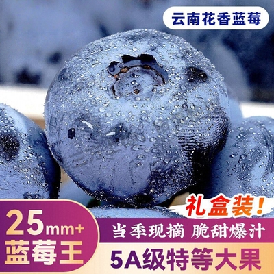 云南高山蓝莓水果现货顺丰包邮现摘新鲜鲜果正宗花香蓝莓果王当季