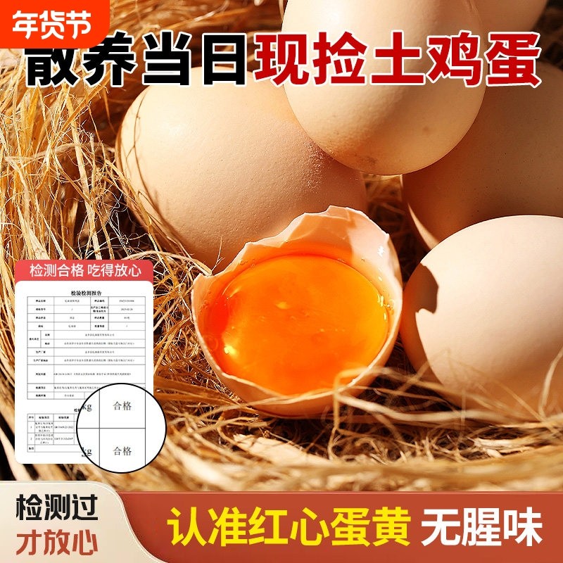 散养土鸡蛋新鲜鸡蛋农家柴鸡蛋有机健康优质蛋白营养早餐红心