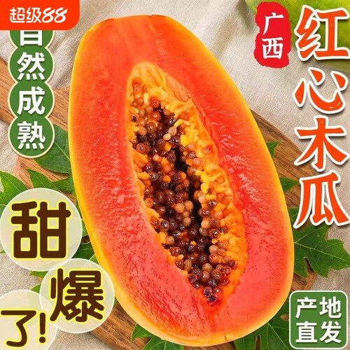 广西红心牛奶木瓜冰糖青皮树上熟