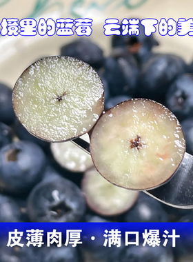顺丰EMS云南高原花香蓝莓15每盒125g脆甜爆汁性价比高6盒装新鲜