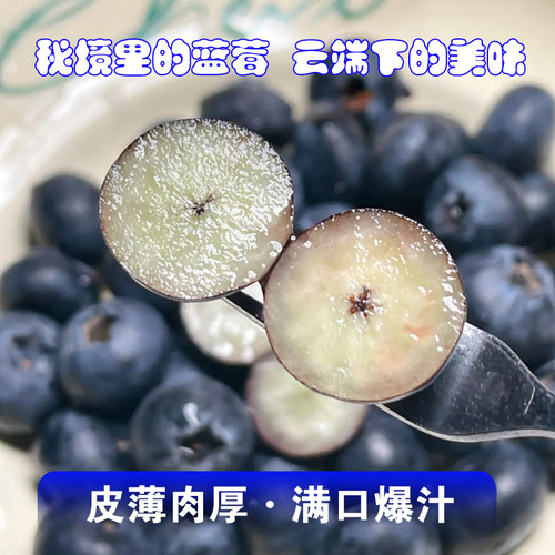 云南高原花香蓝莓15+每盒125g