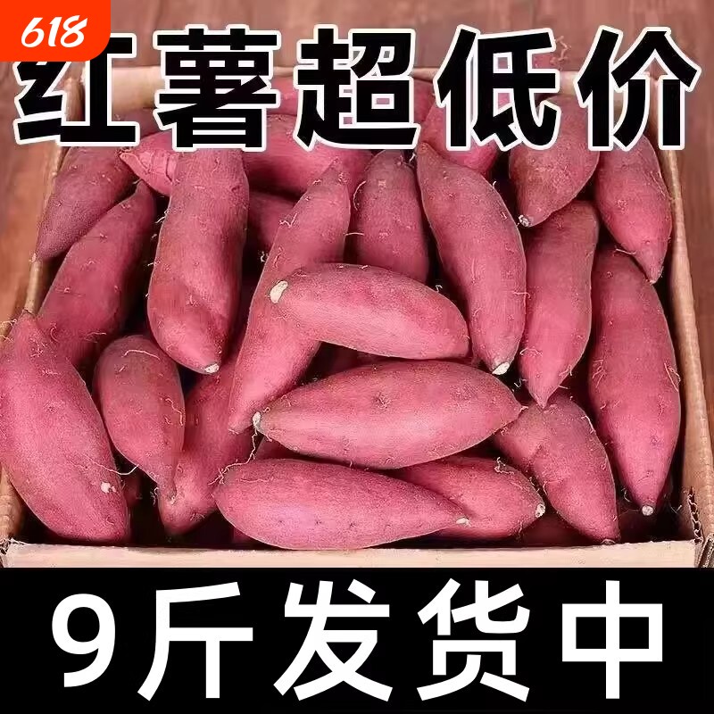 新鲜地瓜沙地番薯板栗红薯黄心蜜薯粉糯香薯自种河南山芋新鲜现挖