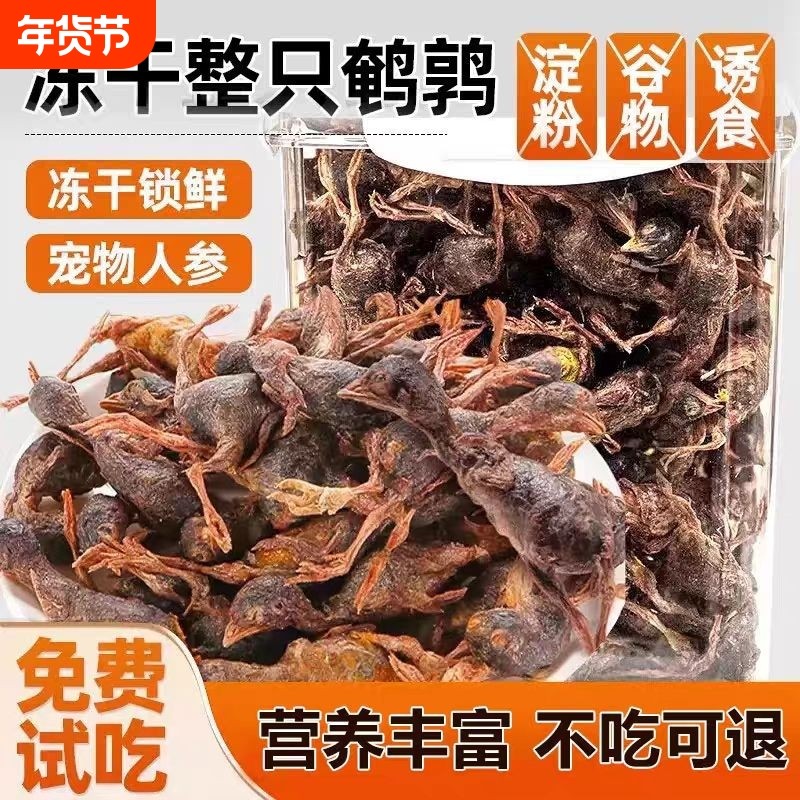 冻干鹌鹑猫咪宠物狗零食增肥发腮零食冻干粮生骨肉小鹌鹑猫咪零食