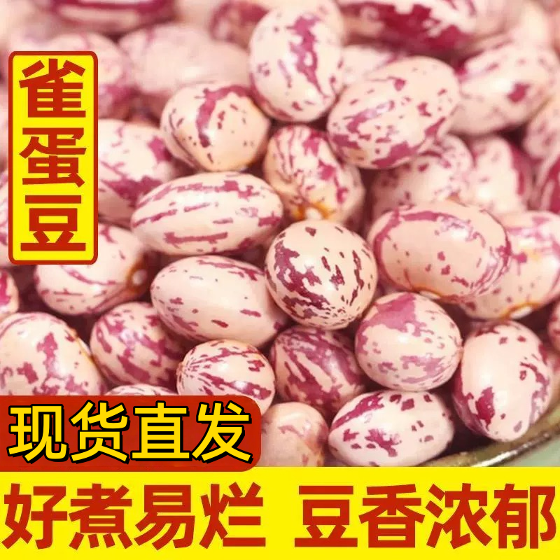 新货贵州奶花豆子芸豆熊猫豆圆粒红花豆孔雀豆芙蓉豆五谷杂粮新鲜