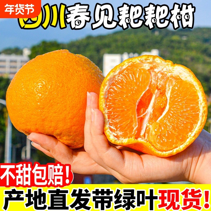 正宗四川春见耙耙柑爆甜粑粑柑新鲜孕妇水果当季整箱柑橘子蜜桔子,水产肉类/新鲜蔬果/熟食,桔子,淘宝优惠券,粉丝福利购,淘宝优惠卷