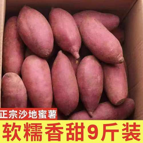 新鲜蜜薯9斤板栗红薯沙地糖心地瓜农家自种番薯现挖烟薯香薯山芋