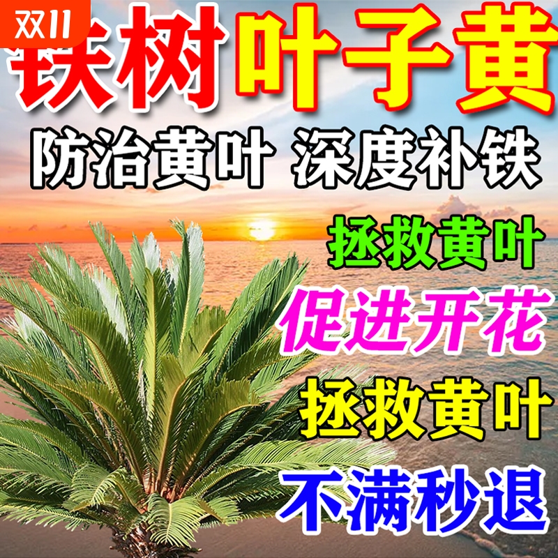 铁树专用肥料叶子发黄烂根促发芽助增长复活液硫酸亚铁专用营养液