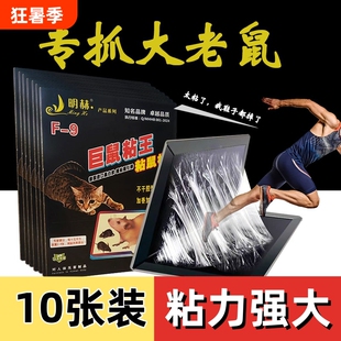 老鼠粘强力巨鼠粘鼠板大老鼠贴家用室内正品扑捉器灭捕鼠神器超强