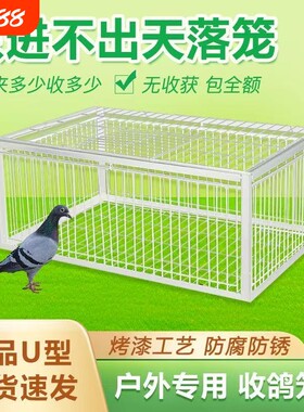 自动捕只进不出天落鸟撞门款加密粗自动户外捕捉抓收神器鸽笼平顶