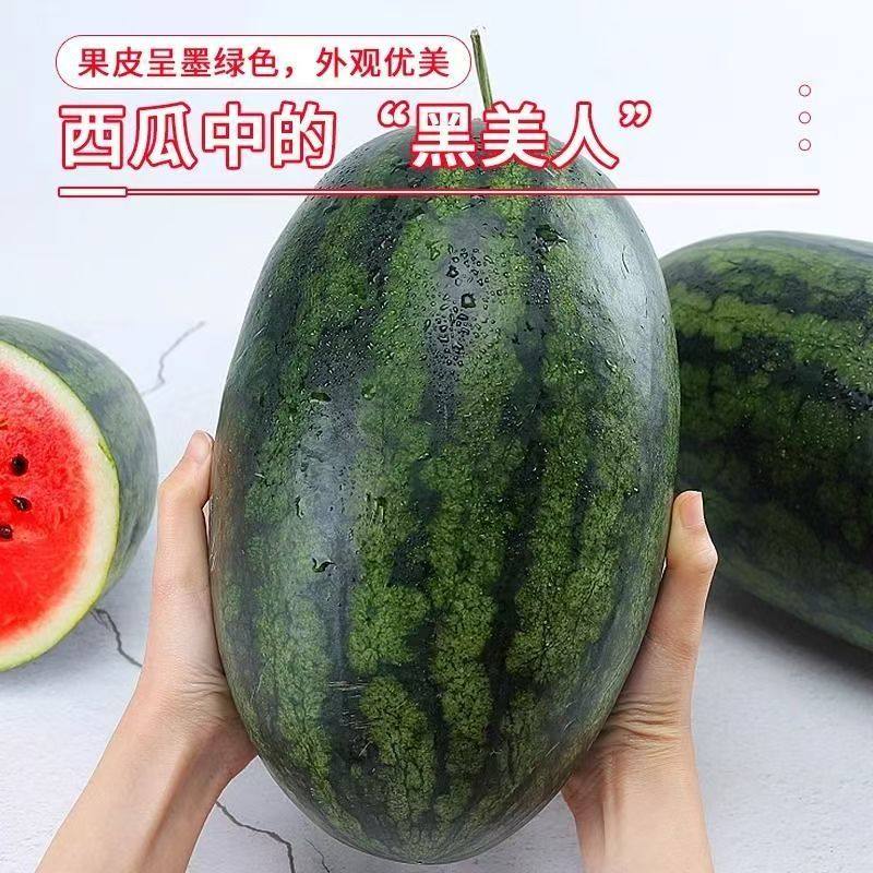 新鲜黑美人西瓜当季水果整箱时令薄皮大西瓜沙瓤甜西瓜麒麟瓜包邮,水产肉类/新鲜蔬果/熟食,西瓜,淘宝优惠券,粉丝福利购,淘宝优惠卷