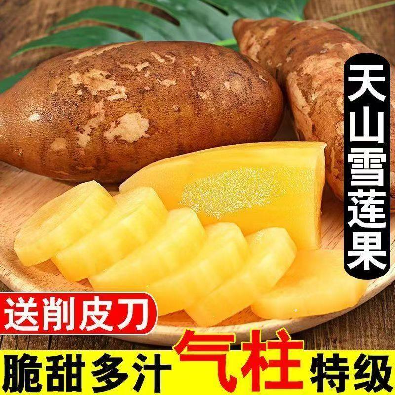 现挖现发云南雪莲果当季新鲜水果整箱雪连果一黄心,水产肉类/新鲜蔬果/熟食,雪莲果,淘宝优惠券,粉丝福利购,淘宝优惠卷