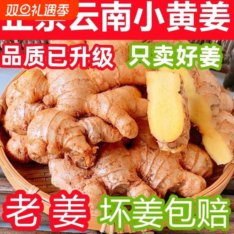 精选正宗云南小黄姜新鲜农家自种生姜老姜现挖沙姜土姜嫩姜食用