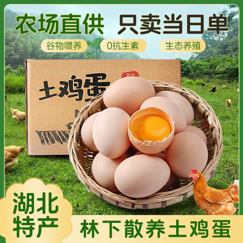 山林散养土鸡蛋新鲜现捡现发