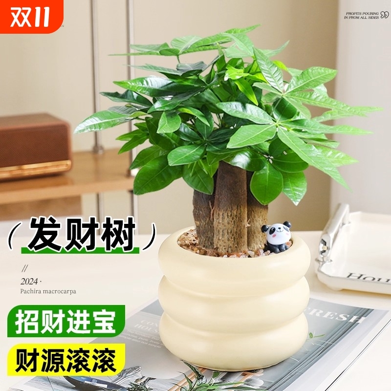 北欧INS风三杆发财树盆栽绿植