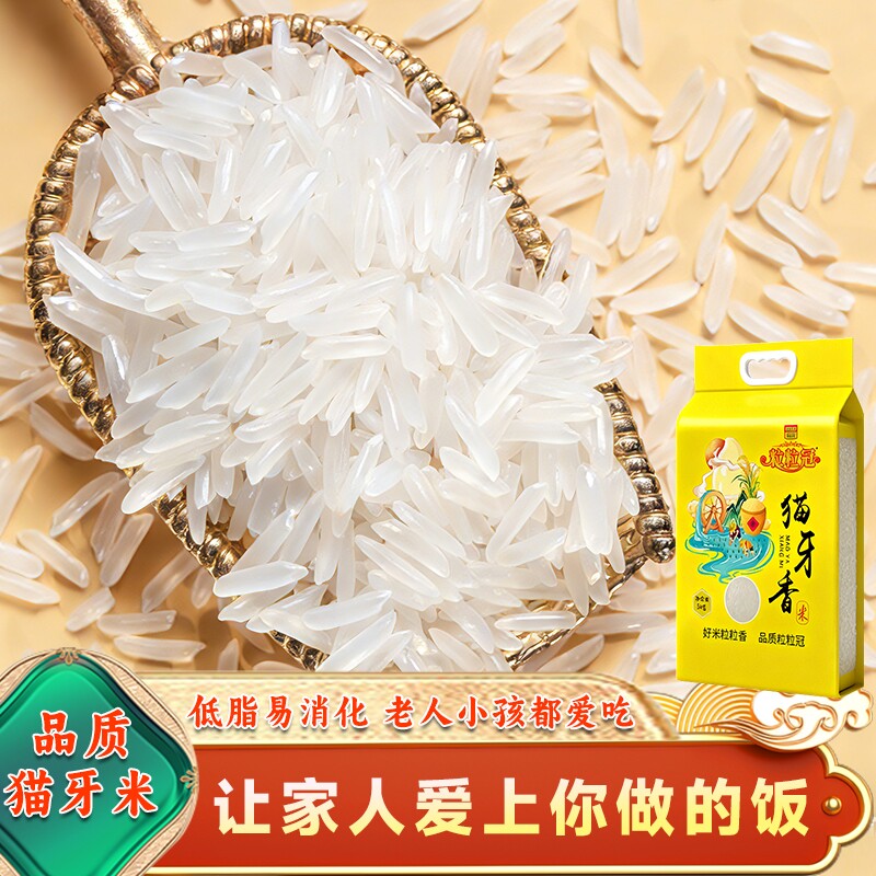 正宗猫牙米长粒香米大米当季新米农家稻香米丝苗米真空装10斤源头