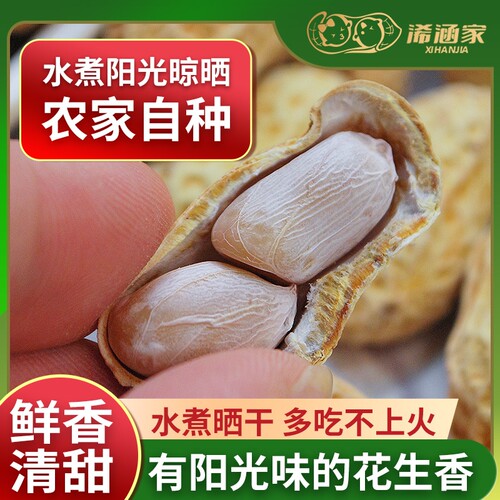 2025新水煮花生咸干红皮蒜香五香盐带壳健康袋装好吃晒干不上火