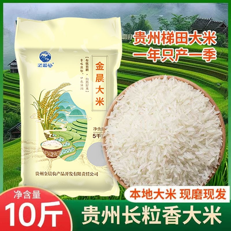 新大米10斤农家自种长粒香大米贵州梯田金晨大米煲仔饭家庭装当季