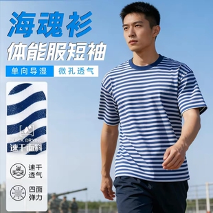 海魂衫套装男款夏季短袖体能训练服裤子圆领纯棉t恤短裤K速干条纹