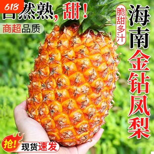 海南金钻凤梨新鲜水果树上熟芒果凤梨香水菠萝大果无眼整箱包邮9
