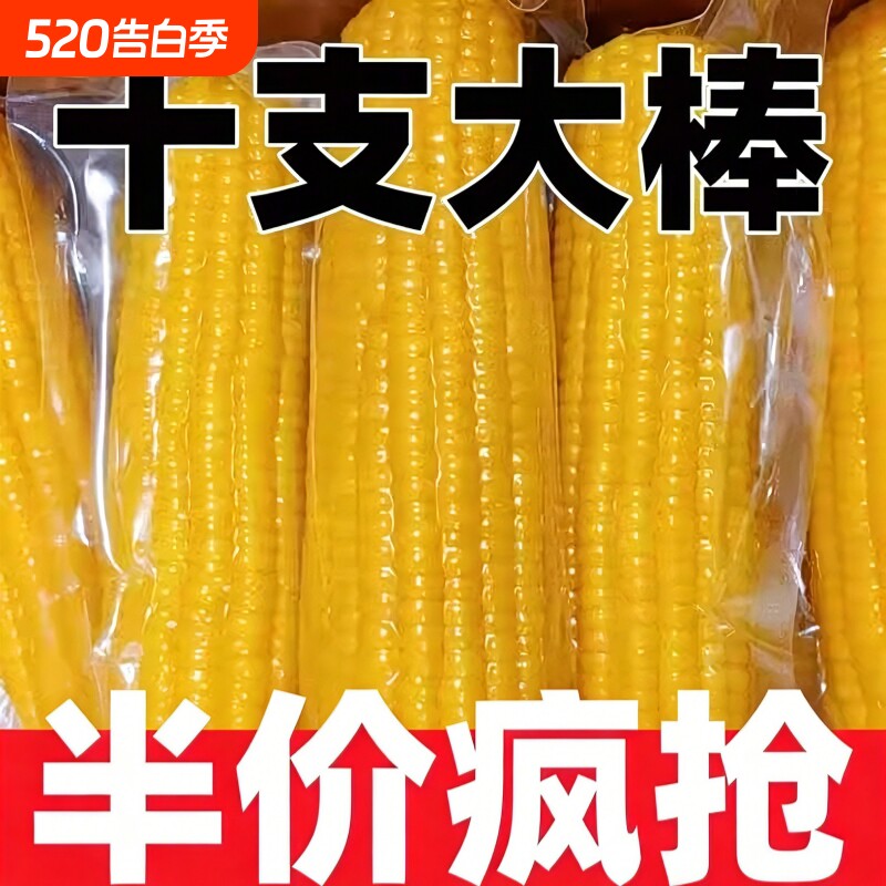 东北新鲜黄糯玉米真空独立包装甜糯玉米棒健身早餐加热即食饱腹