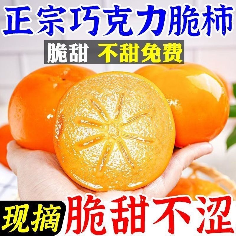 正宗山西阳丰巧克力脆柿