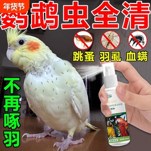 鹦鹉驱虫喷雾除螨啄羽专用玄凤虎皮鸟体内外杀虫药除羽虱臭一喷净