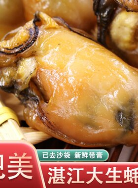 广东湛江特产生蚝干牡蛎干海鲜干货干蚝豉海蛎子冷冻新鲜水产食用