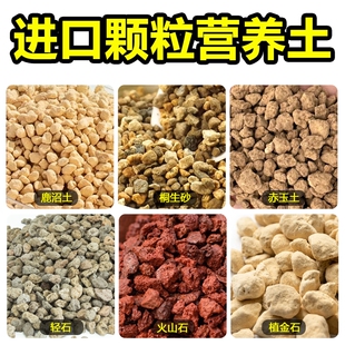 原装进口基质赤玉鹿沼土桐生砂植金石日向石轻石火山石颗粒营养土