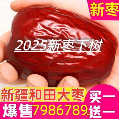 正宗新疆红枣特级和田大枣年货特产特大红枣子新货红枣干好吃新鲜