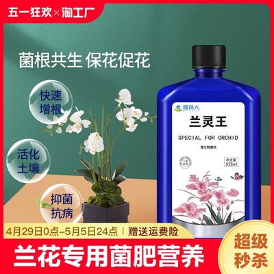 兰灵王兰花专用营养液促花活化剂