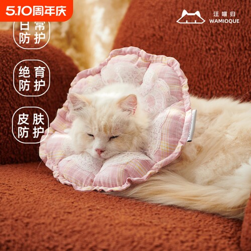 伊丽莎白圈猫咪绝育幼猫防舔防咬