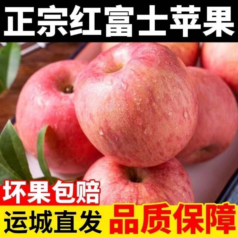 嘎嘣脆甜红富士苹果正宗冰糖心苹果应季当季新鲜孕妇水果整箱批发,水产肉类/新鲜蔬果/熟食,苹果,淘宝优惠券,粉丝福利购,淘宝优惠卷