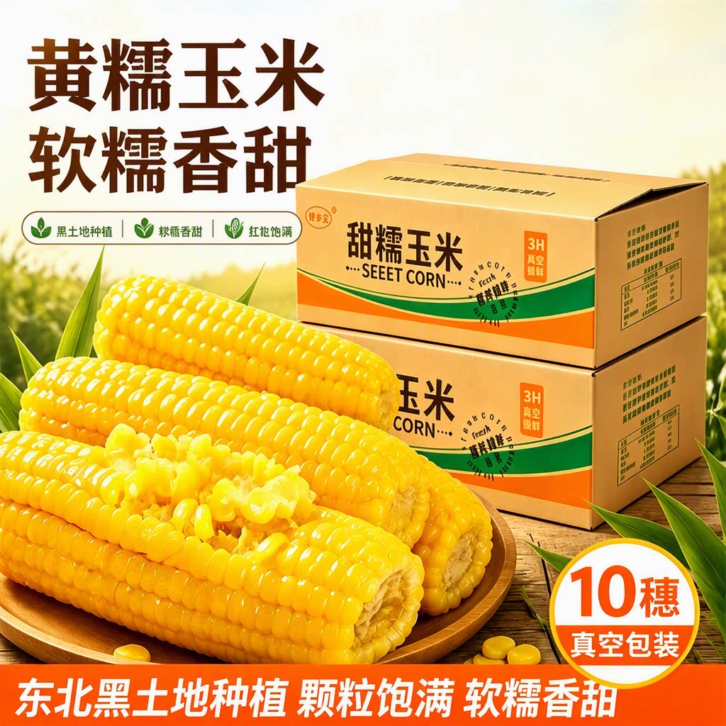 正宗东北粘糯玉米甜非转基因黄糯玉米棒真空软糯低脂香糯包装粗粮