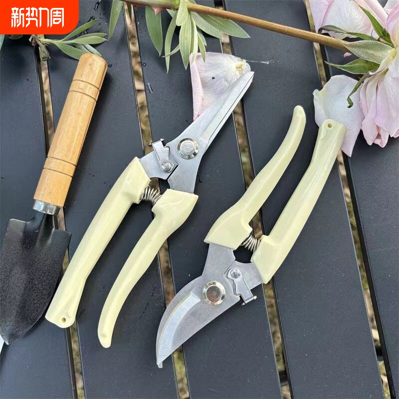 剪刀树枝修剪不锈钢修枝剪多功能园艺果园绿植花枝摘果剪园林工具便携