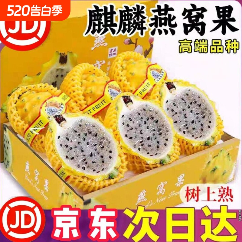 海南特产麒麟燕窝果冰糖彩箱正宗海南大果罕见黄皮火龙果礼盒装