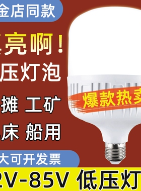 led灯节能灯12v24v36v48v低压灯泡E27螺口交直流工地电瓶太阳能灯