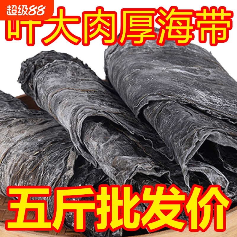 5斤福建霞浦海带干货日晒无沙厚海带煲汤新鲜海带头优质整根