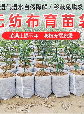 无纺布植树袋美植袋批发营养钵白色花盆苗圃种植袋可降解厚育苗袋