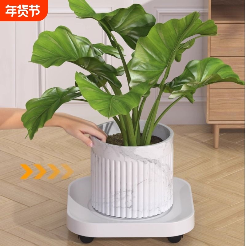 移动花盆托盘绿植带轱辘底座圆形滚轮万能底座钢化移动花盆托盘,鲜花速递/花卉仿真/绿植园艺,花托/移动托盘,淘宝优惠券,粉丝福利购,淘宝优惠卷