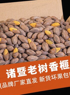 香榧子2026新货诸暨特产匪桥坚果炒货零食干果果仁新鲜手剥健康