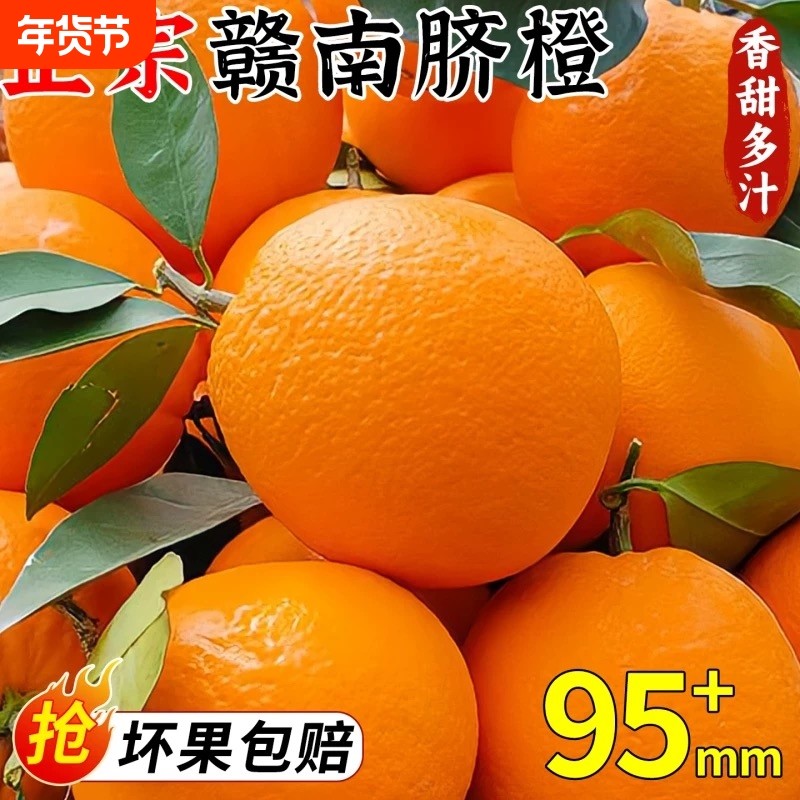 江西赣南脐橙新鲜橙子当季水果冰糖甜橙大果整箱包邮果园现摘年货