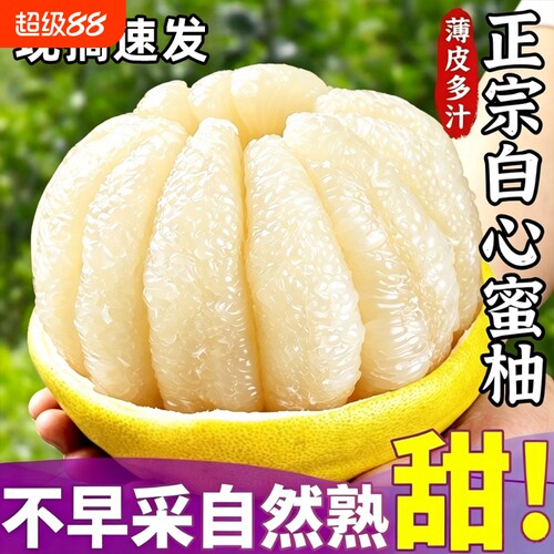 福建柚子白心大蜜柚白心柚子批发价薄皮白肉当季孕妇新鲜水果整箱