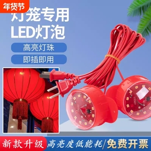 2米灯笼电线长大红灯笼led灯电源线阳台大门春节红灯旋转装饰灯