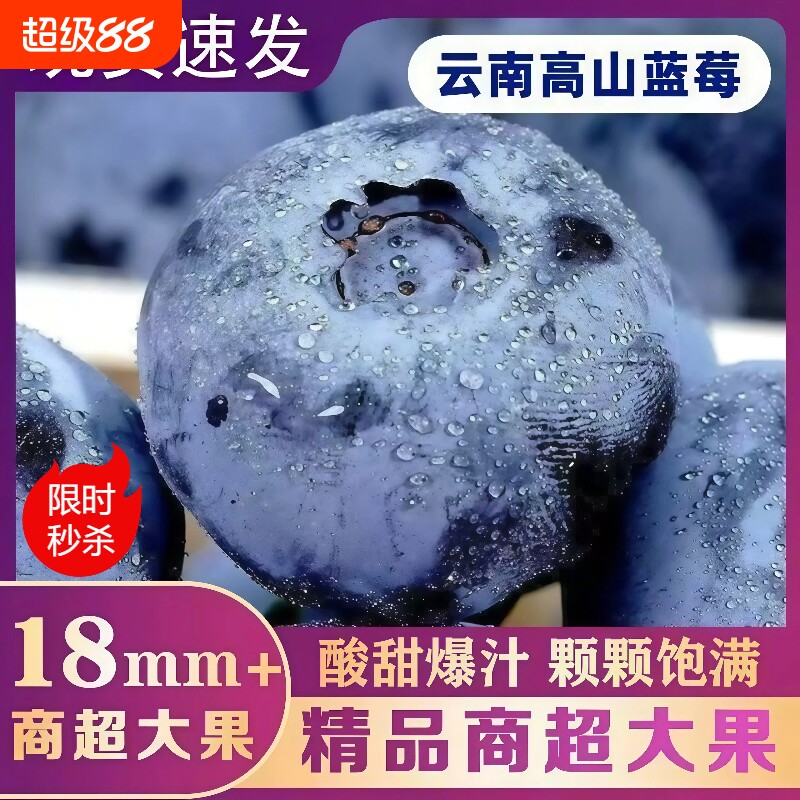 云南蓝莓新鲜水果当季现摘L25花香高山孕妇整箱顺丰包邮大果一颗