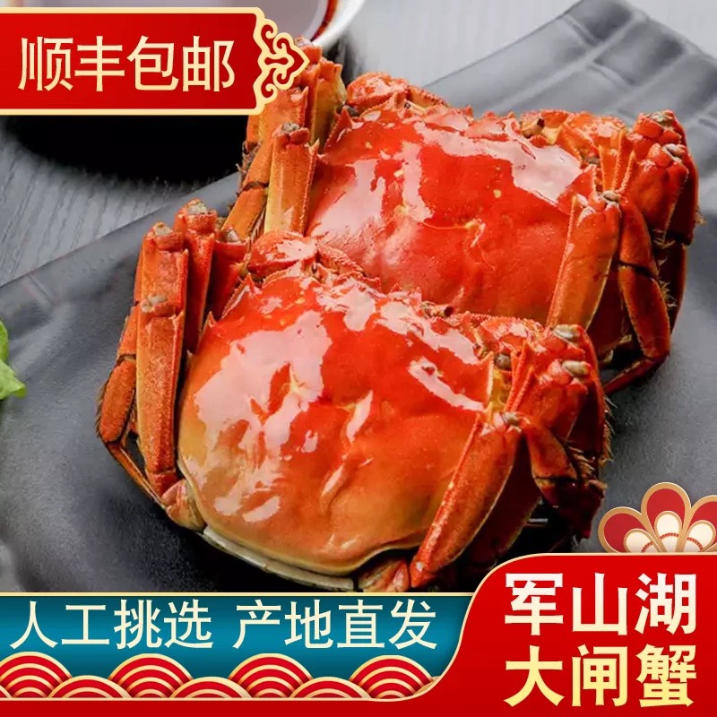军山湖大闸蟹3.5-3.0两南昌水产现货礼盒全母蟹8只螃蟹鲜活