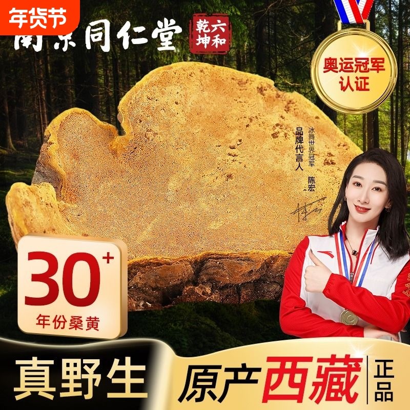 南京同仁堂桑黄西藏林芝野生茶林芝泡酒官方正品旗舰店AA藏红花