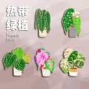 饰品 热带植物胸针徽章龟背竹花烛秋海棠彩叶芋热植系列个性 文创装