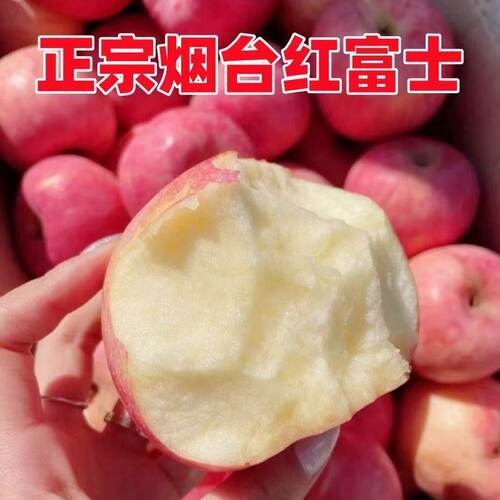 山东红富士正宗栖霞苹果脆甜当季新鲜水果应季整箱黄金大果鲜果